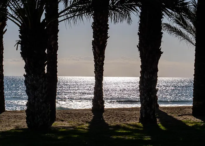 Διαμέρισμα Palm - *