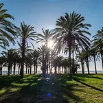 Palm - *