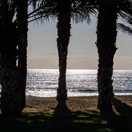 Appartement Palm - *